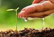 استفاده از فناوری «بتن پارچه‌ای» در مازندران