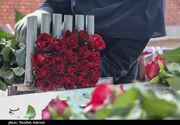چهارمحال و بختیاری در آستانه جهش تولید و صادرات گل و گیاهان زینتی