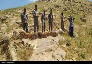 بازگشت پرندگان نجات‌یافته به طبیعت؛ 19 بال برای احیای حیات وحش سقز