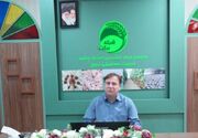 جهادگران بوشهری در شرایط اضطرار جنگ مجاهدانه پای کار مردم بودند