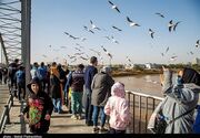 اهواز؛ شهری بر روی پل‌ها، از تقاطع ترافیک تا تلاقی هنر و نور