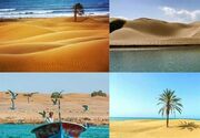 سفر به گنج پنهان مکران/ قصه عاشقانه کویر و اقیانوس در جنوب ایران