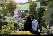 ماجرای گلخانه‌ای که چهره زاهدان را تغییر داد
