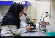 کرمانشاه کمبود جدی متخصص ندارد