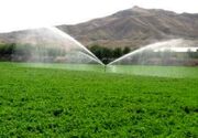 ارائه 820 میلیارد تومان اعتبار در بخش کشاورزی کردستان