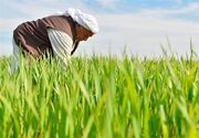 افتتاح 284 طرح کشاورزی در خوزستان با سرمایه‌گذاری 2.8 همت