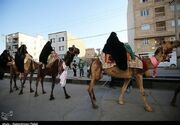 تعزیه ورود کاروان امام حسین(ع) به کربلا با شمیم معطر شهدا در مریانج