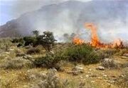 15 هکتار از اراضی گندم دهستان حیدریه گیلانغرب در آتش سوخت