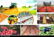 جهش تولید در کهگیلویه با معرفی 837 میلیاردتومان تسهیلات در بخش کشاورزی