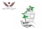 شناسایی 18 زندانی واجد شرایط برای آزادی در زندان‌های اراک و ساوه