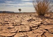 تهدید "بیابان" در گلستان ایران/ فشارهای اقلیمی و انسانی بر سر جنگل‌ها