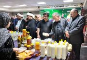 گشایش نمایشگاه توانمندی‌های زنان عشایر در اردبیل