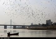 احیای ساحل کارون در کوت‌عبدالله وارد فاز اجرا شد