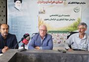 تولید 62 درصد زعفران کشور در خراسان رضوی
