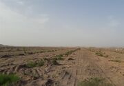 شناسایی30 کانون بحرانی بیابانی در خراسان رضوی/مهار کانون‌های گردوغبار