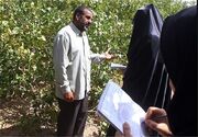 آیا دانش کشاورزی در مازندران بالفعل می‌شود؟