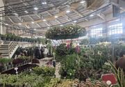 اردبیل میزبان گل‌کاران 7 استان کشور