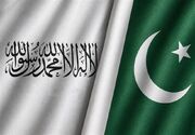 ادعای طالبان درباره حمله به مراکز داعش در پاکستان؛ 4 پهپاد منهدم شدند
