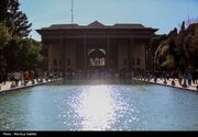 برنامه جامع حفاظت از درختان 400 ساله چهلستون تدوین شد