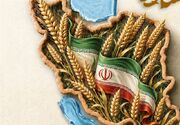 خودکفایی در محصولات اساسی با اجرای برنامه هفتم قابل تحقق است/تولید داخلی، محور تحقق امنیت غذایی