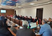 پایش میدانی اجرای پزشکی خانواده و نظام ارجاع در شهرستان قائن