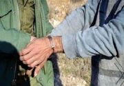 برخورد قاطع با شکارچیان؛ کشف گوشت گراز و سلاح شکاری در هریس