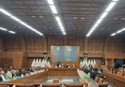 علی‌نژاد: اسکیت مغفول مانده است