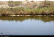 گاوخونی سهم مستقل آب می‌خواهد