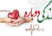 بخشش یک مادر ساروقی با اهدای عضو نفس تازه در جان چند بیمار دمید