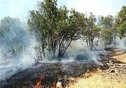 افزایش دما و احتمال آتش‌سوزی در مراتع کردستان/دما 42درجه می‌شود!