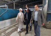 دادگستری خراسان شمالی چگونه گره واحدهای تولیدی را باز می‌کند؟