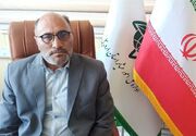 عشایر اردبیل 35 درصد گوشت قرمز استان را تامین می‌کنند