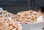 ضوابط صید میگو در خوزستان؛ ممنوعیت صدور مجوز در بحرکان