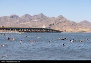 رشد 30 درصدی آمار غرق‌شدگی در کشور