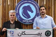 مدافع شهر‌بابک به پیکان پیوست