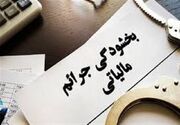 بخشودگی جرائم مالیاتی مؤدیان بروجردی تا سقف 30 میلیون تومان