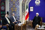 مروی: اربعین بزرگ‌ترین نمایش همبستگی امت اسلامی است