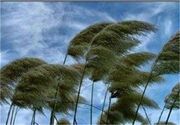 هشدار زرد هواشناسی خراسان جنوبی؛ تداوم باد شدید و گردوخاک اربعینی