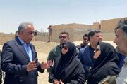 نقدهایی صریح به سفر رئیس سازمان محیط‌زیست به سیستان