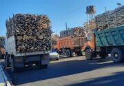 هشدار منابع طبیعی استان مرکزی درباره حمل چوب بدون مجوز الکترونیکی