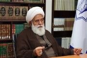 پیاده‌روی اربعین اعجاز مکتب سیدالشهدا(ع) و جلوه حقانیت امامت است