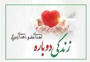 نوجوان اراکی در بهار 13 سالگی به چند بیمار زندگی دوباره بخشید