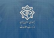 شناسایی و بازداشت 21 مزدور موساد در کرمان