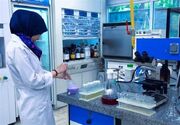 انجام 200 آزمایش برای تایید سلامت برخی کالاهای اساسی وارداتی در سیستان