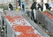 توسعه صنایع تبدیلی هدف مشترک توسعه اقتصادی همدان و کردستان