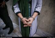 دو سارق زن طلافروشی‌های شاهرود دستگیر شدند؛ 9 سرقت در پرونده