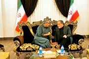 گفت وگوی عراقچی با وزیر کشور پاکستان در فرودگاه مشهد