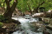 پارادوکسِ گیان؛ شاخ‌به‌شاخ شدنِ قانون و قانون‌گریزی در نهاوند