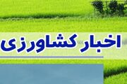 فارس؛ از مقابله با تغییر کاربری تا خودکفایی گوشت