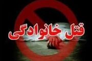 عامل جنایت خونین در بهارستان: همسرم قهر کرد و به خانه پدرش رفت که...